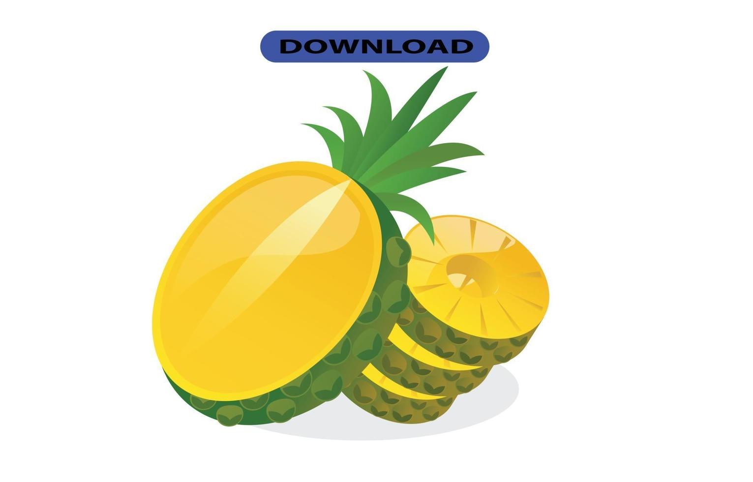 pineapple icon or logo high resolution vector