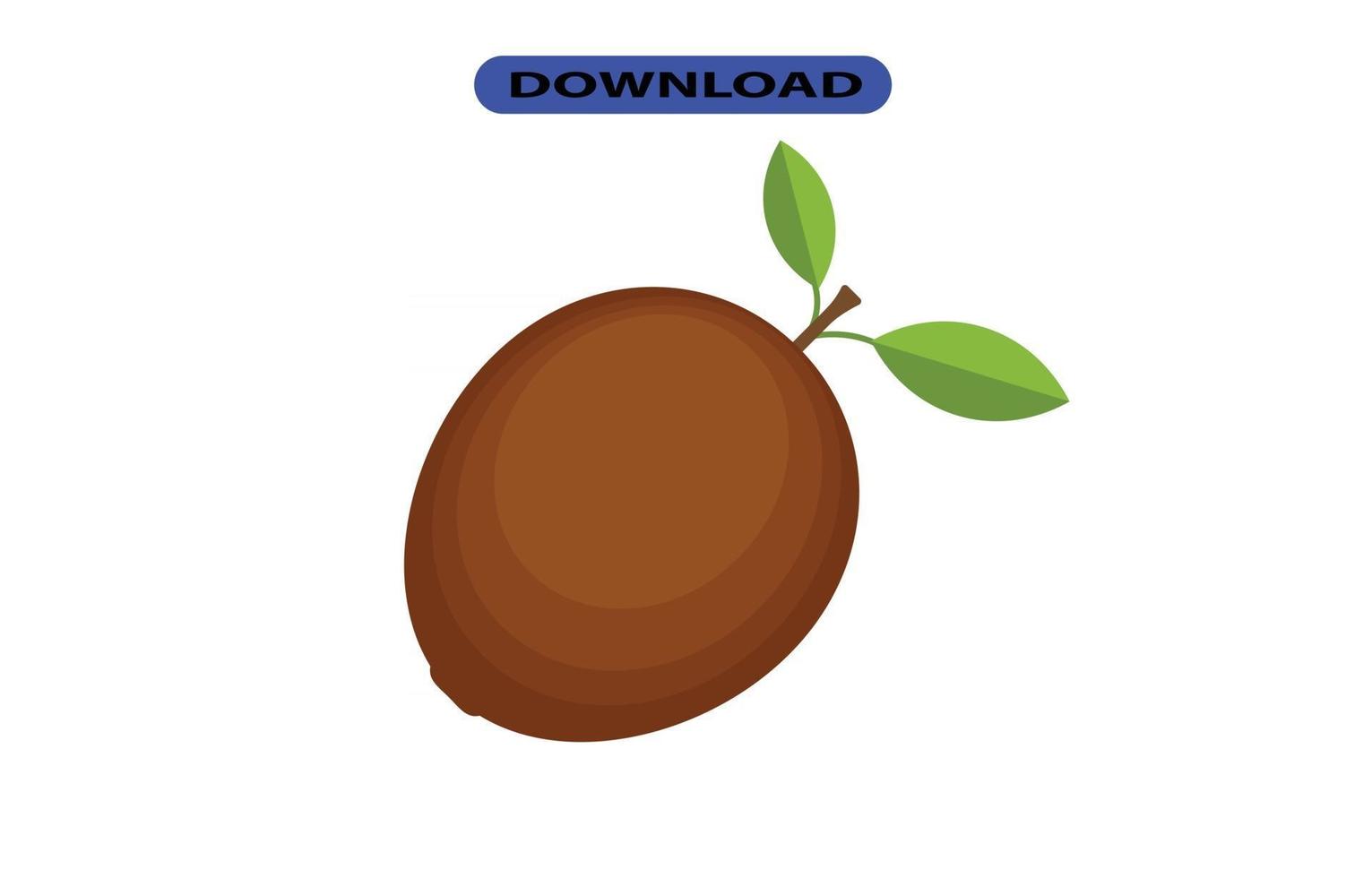 kiwi icono o logotipo de alta resolución vector