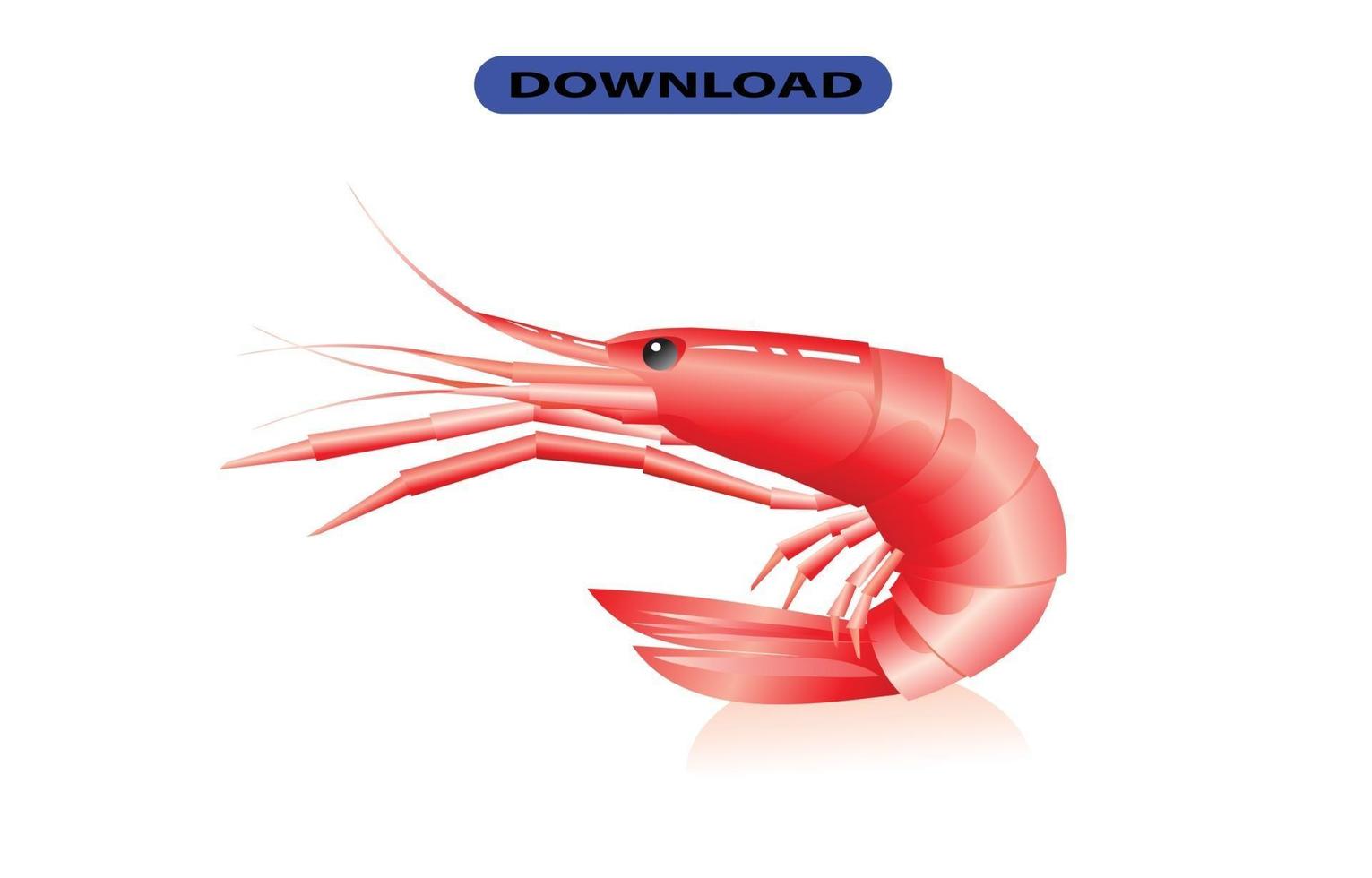 seafood icon or logo high resolution vector