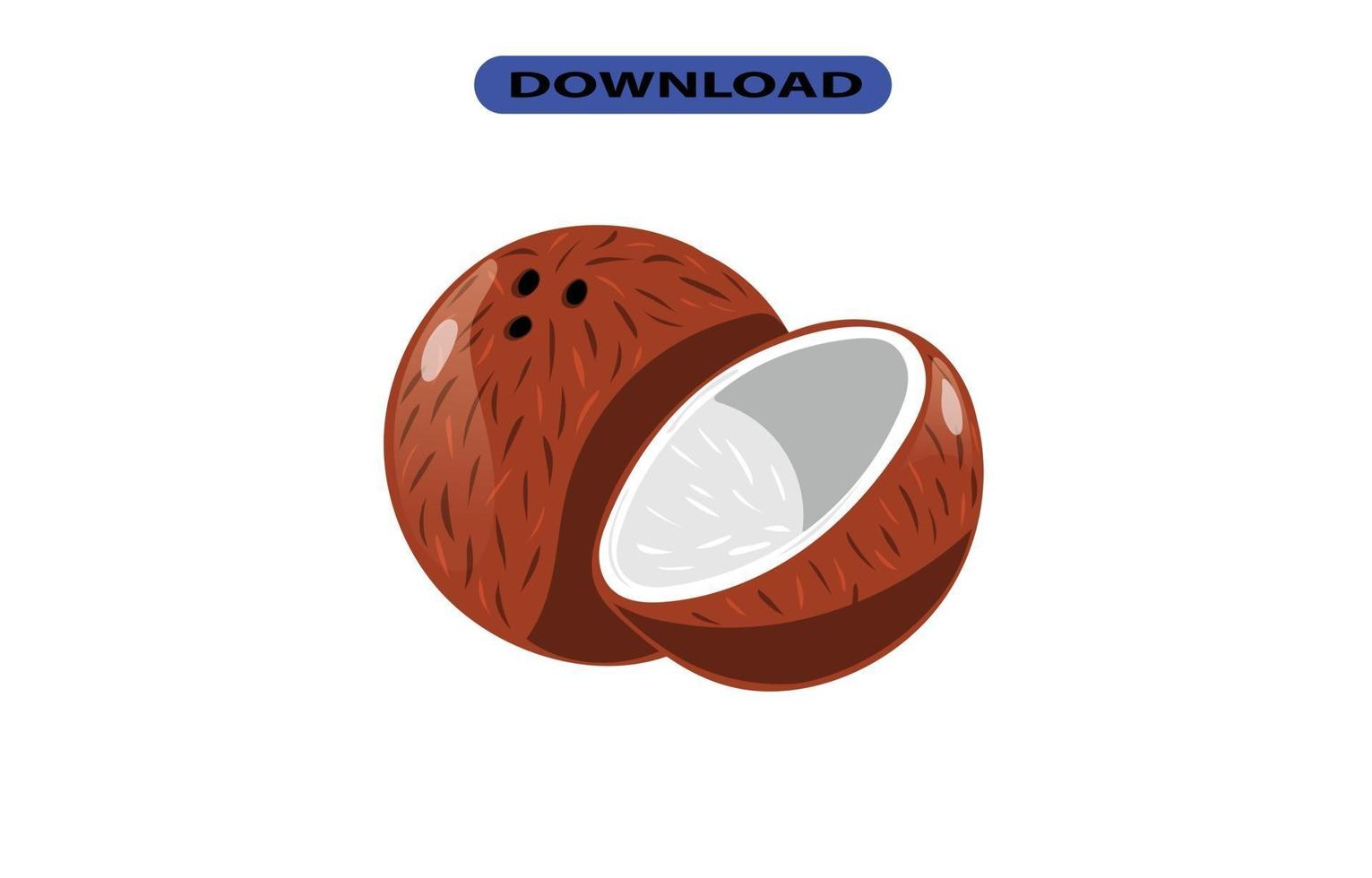 icono de coco o logotipo de alta resolución vector