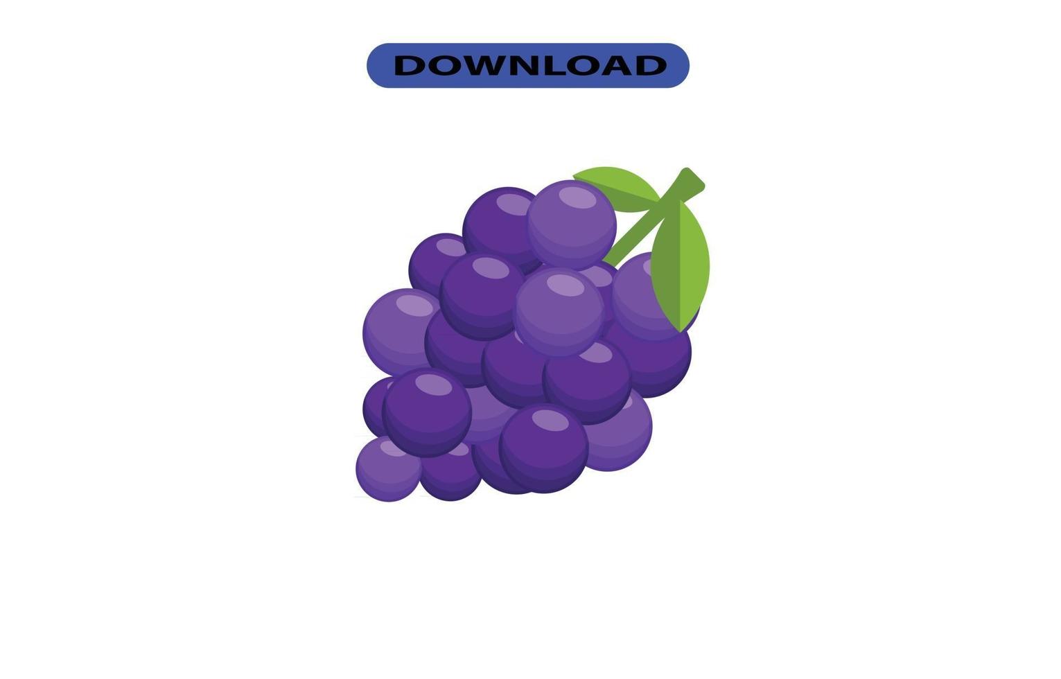 fresh and large grapes with high resolution vector