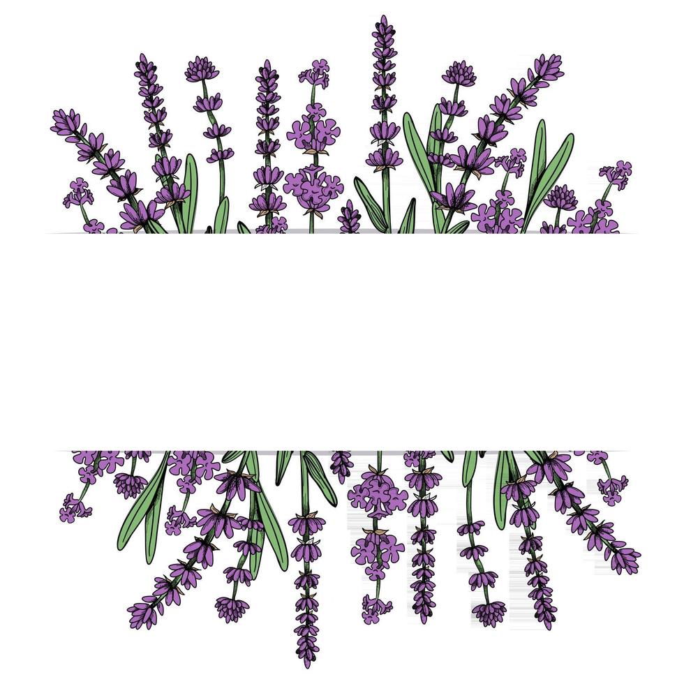 Floral frame with lavender flowers. Vector hand drawn illustration