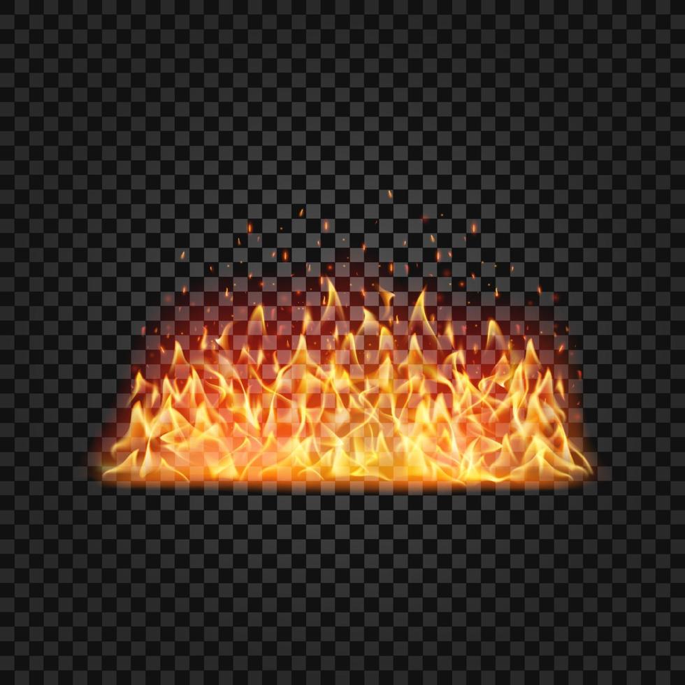 Realistic fire flames set on transparent black background vector