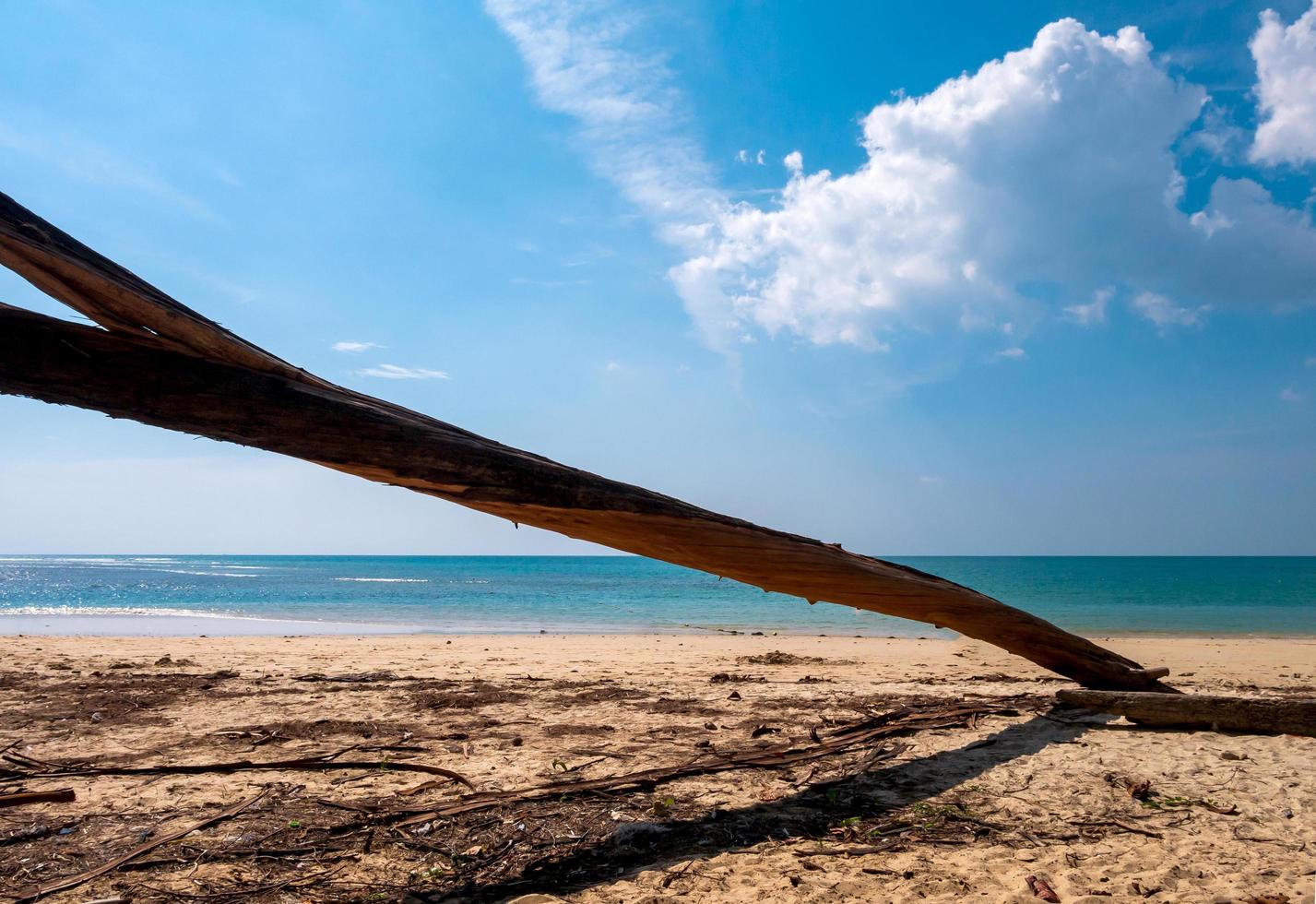 Beautiful summer beach and blue sky photo