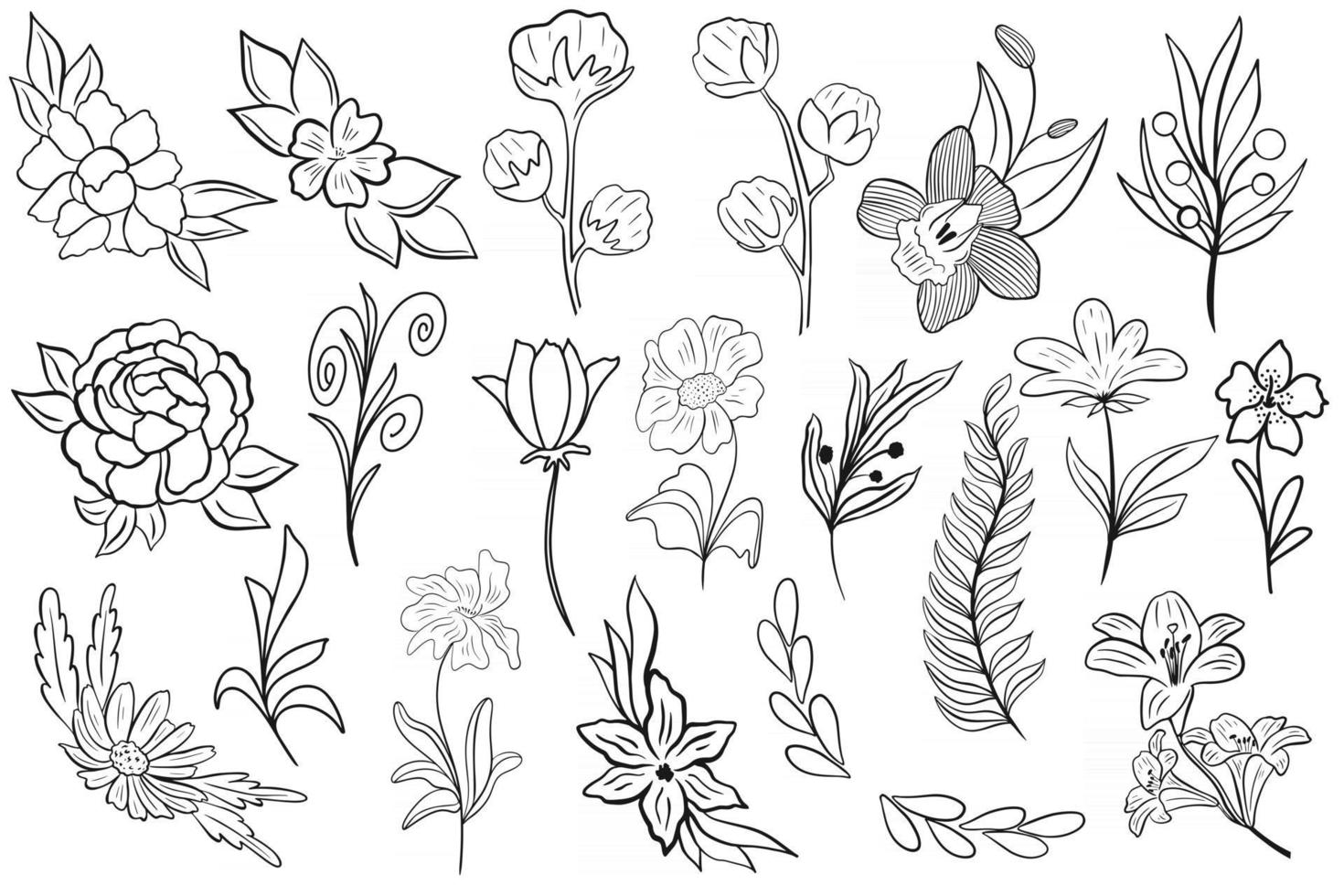 Set of simple botanical elements for design vector illustration