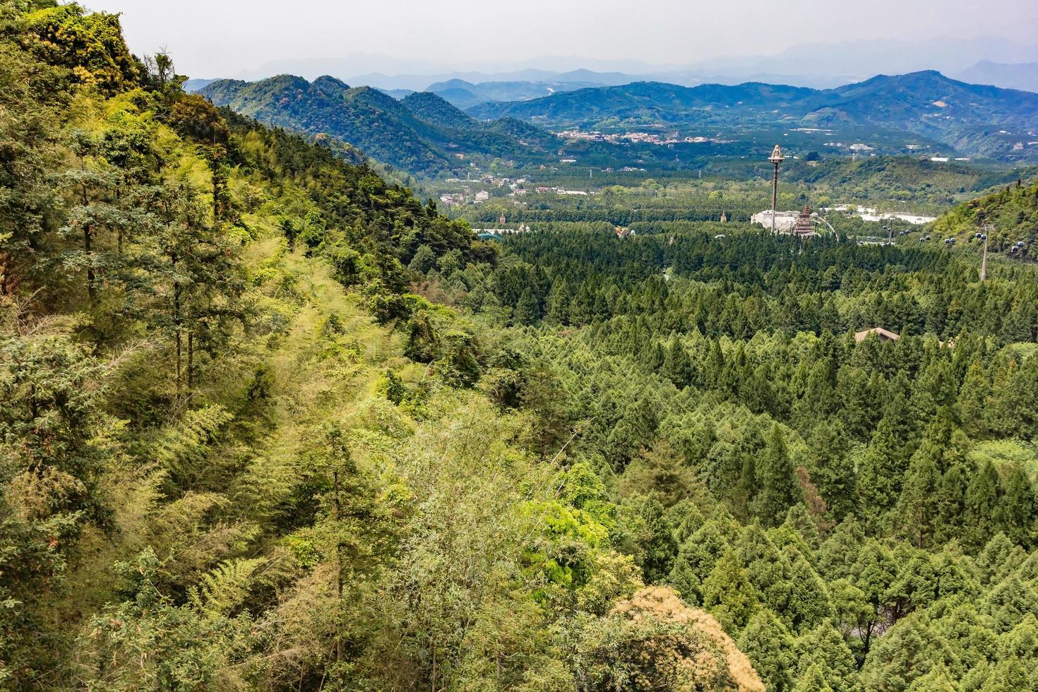 forest of green pine trees on mountainside at Sun Moon Lake, Taiwan photo