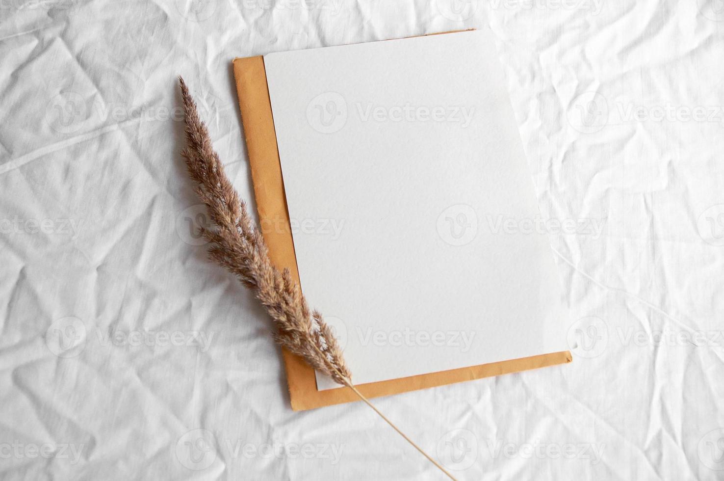 Empty white card with envelope, pampas grass photo