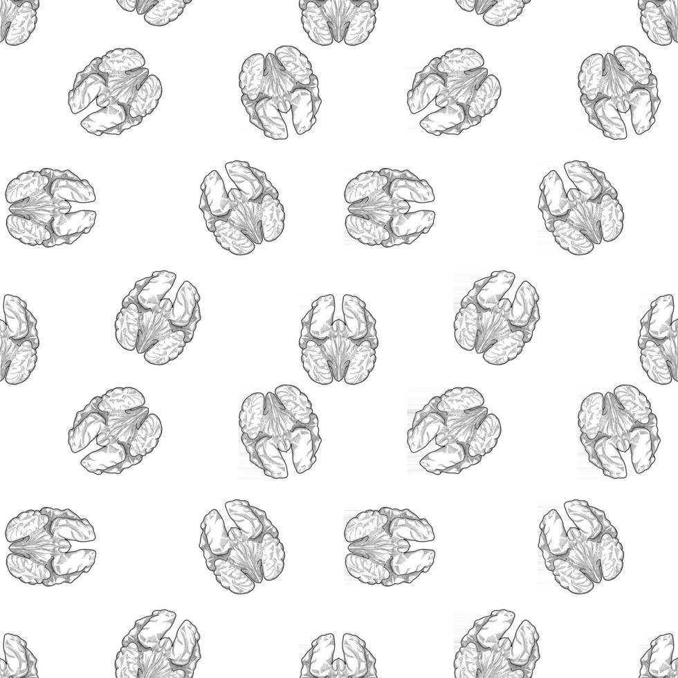walnut seamless vector background