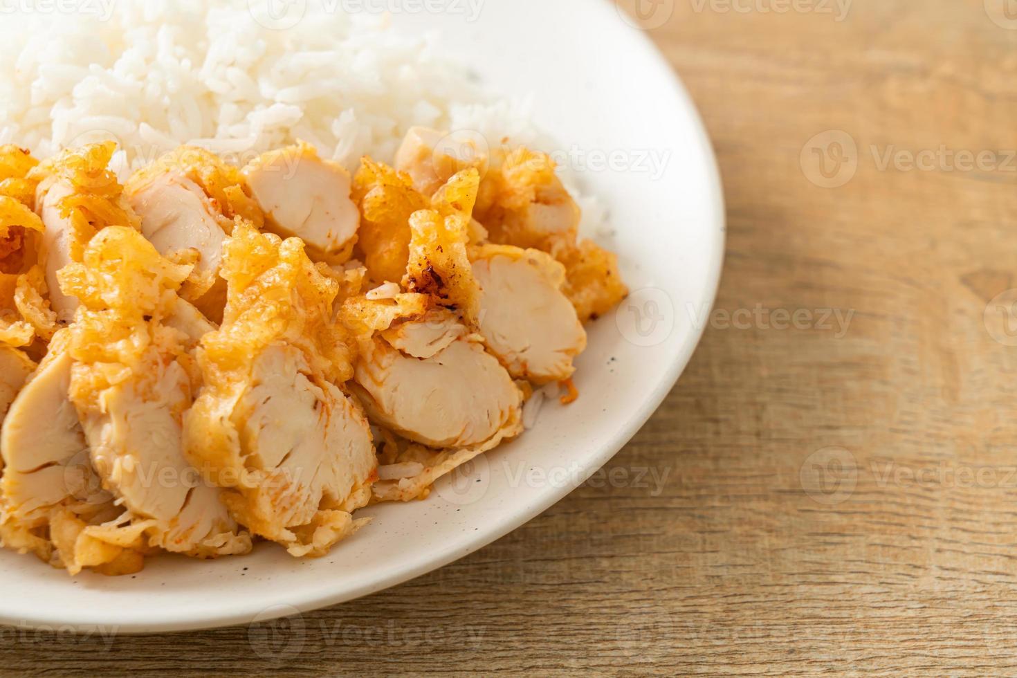 Fried chicken topped rice with dipping sauce photo