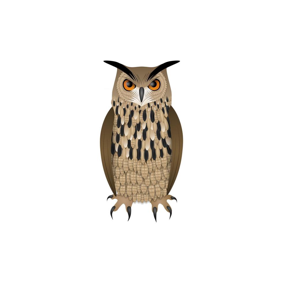 isolated owl illustration vector