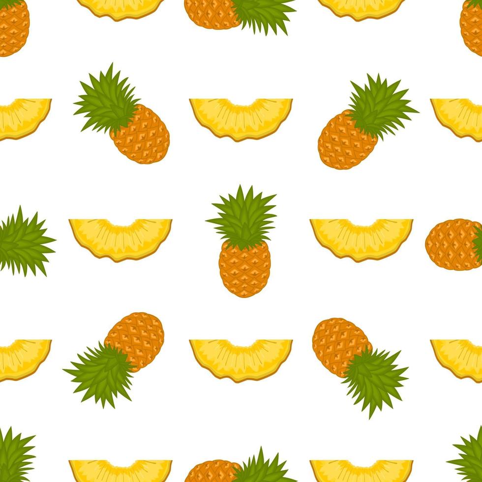 Illustration on theme big colored seamless pineapple vector