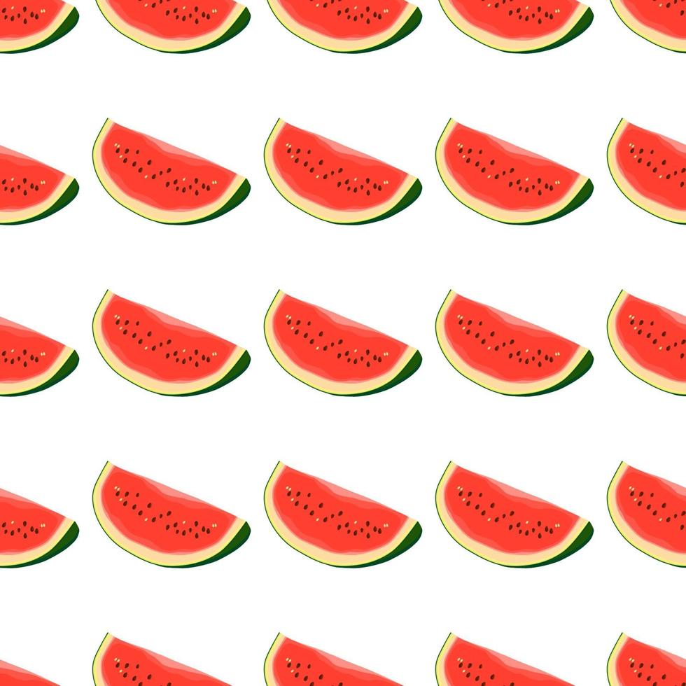 Theme big colored seamless watermelon, bright berry pattern for seal vector