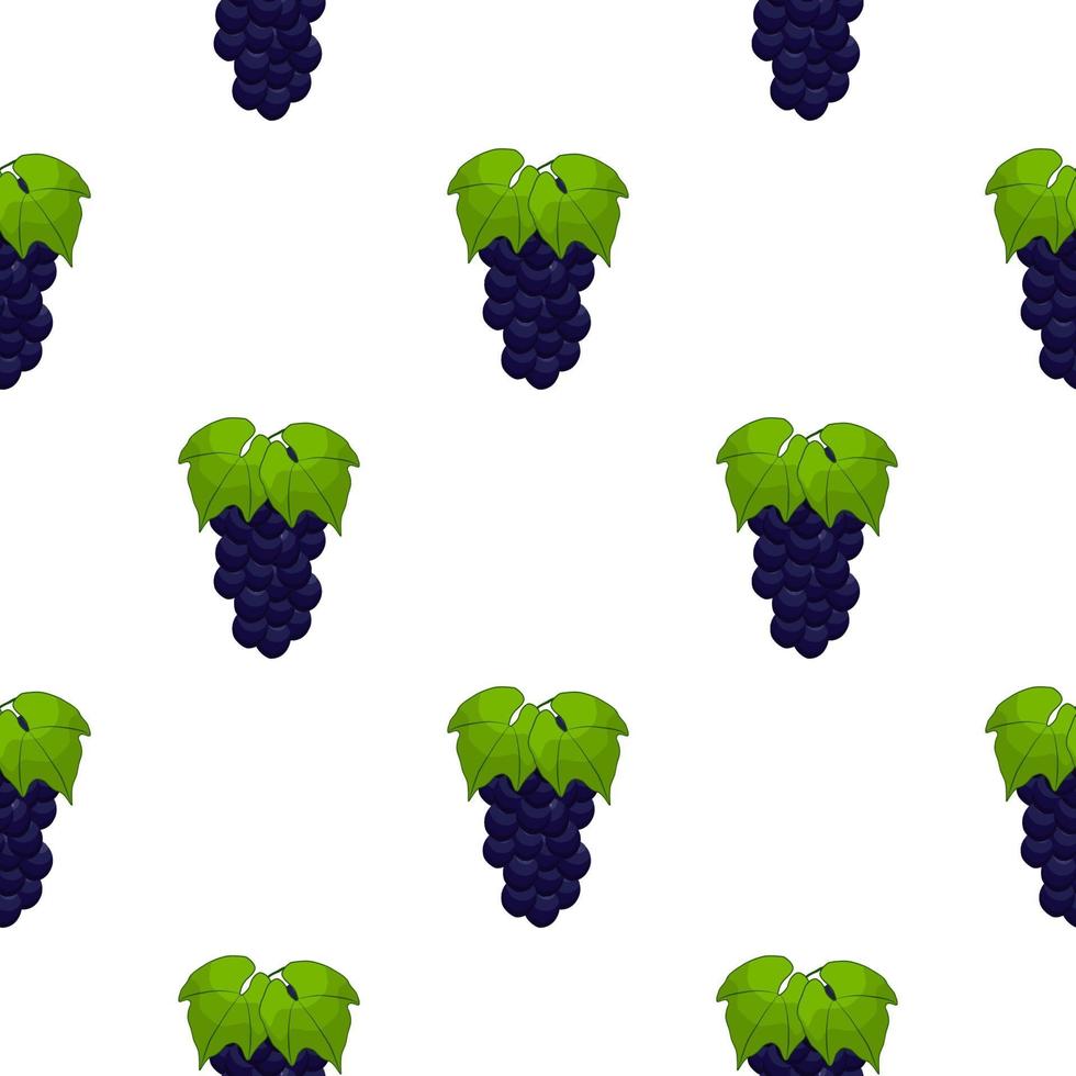 Illustration on theme big colored seamless grape vector