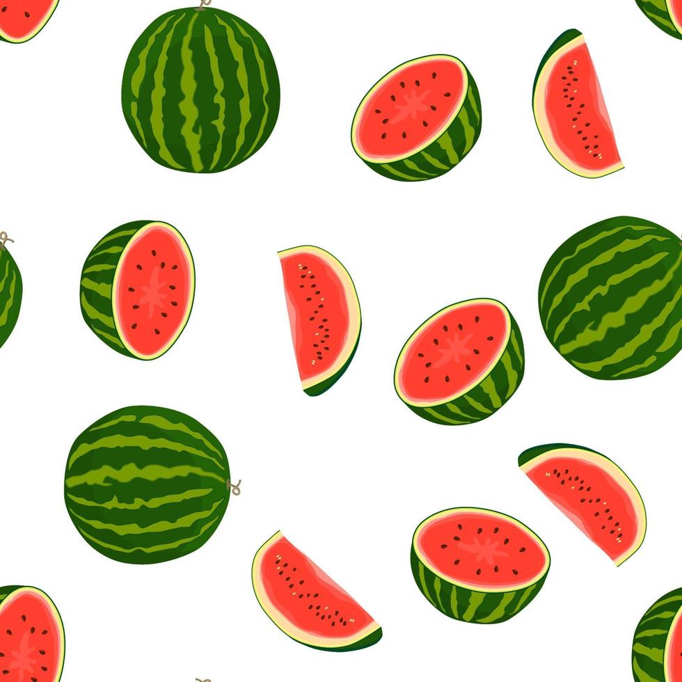 Theme big colored seamless watermelon, bright berry pattern for seal vector