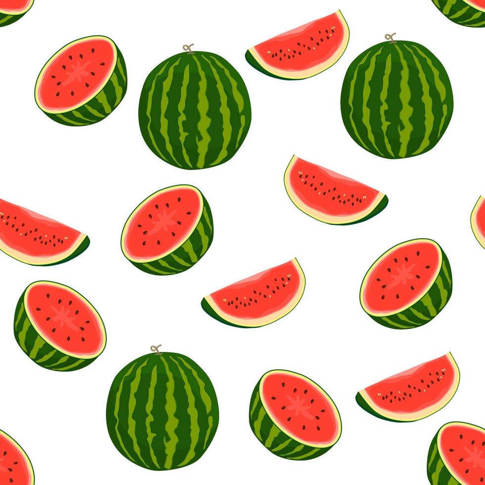 Theme big colored seamless watermelon, bright berry pattern for seal vector