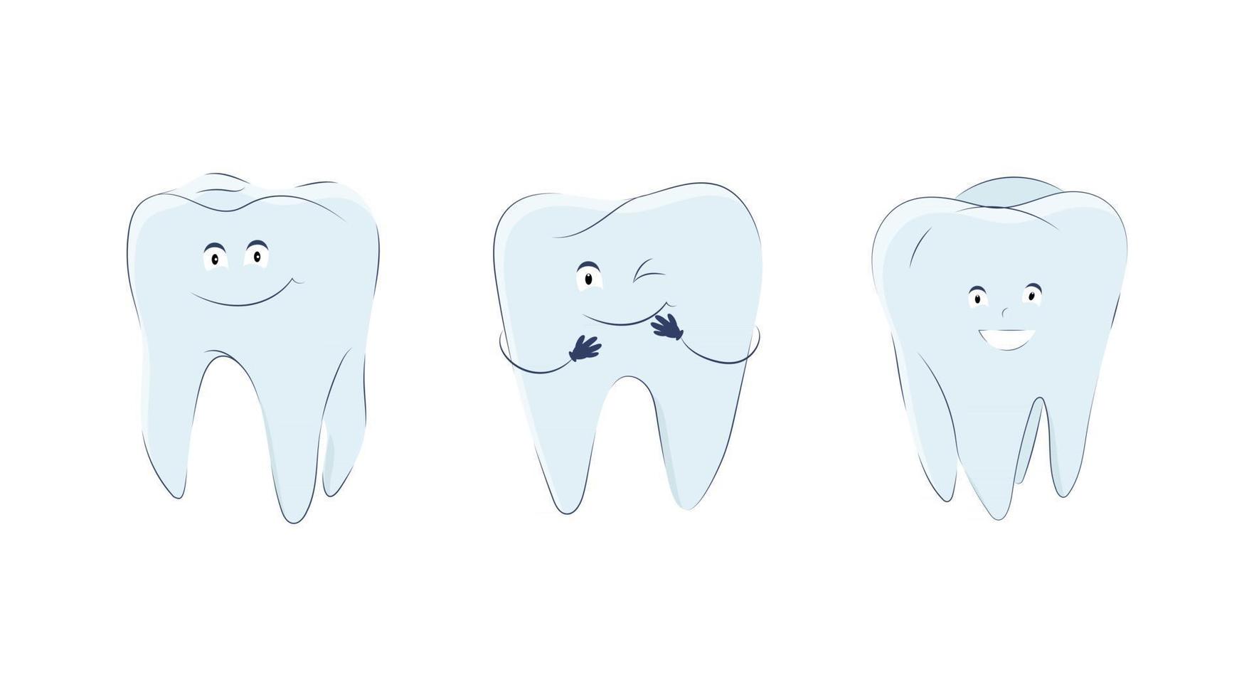 Set of molars in a cute cartoon style vector