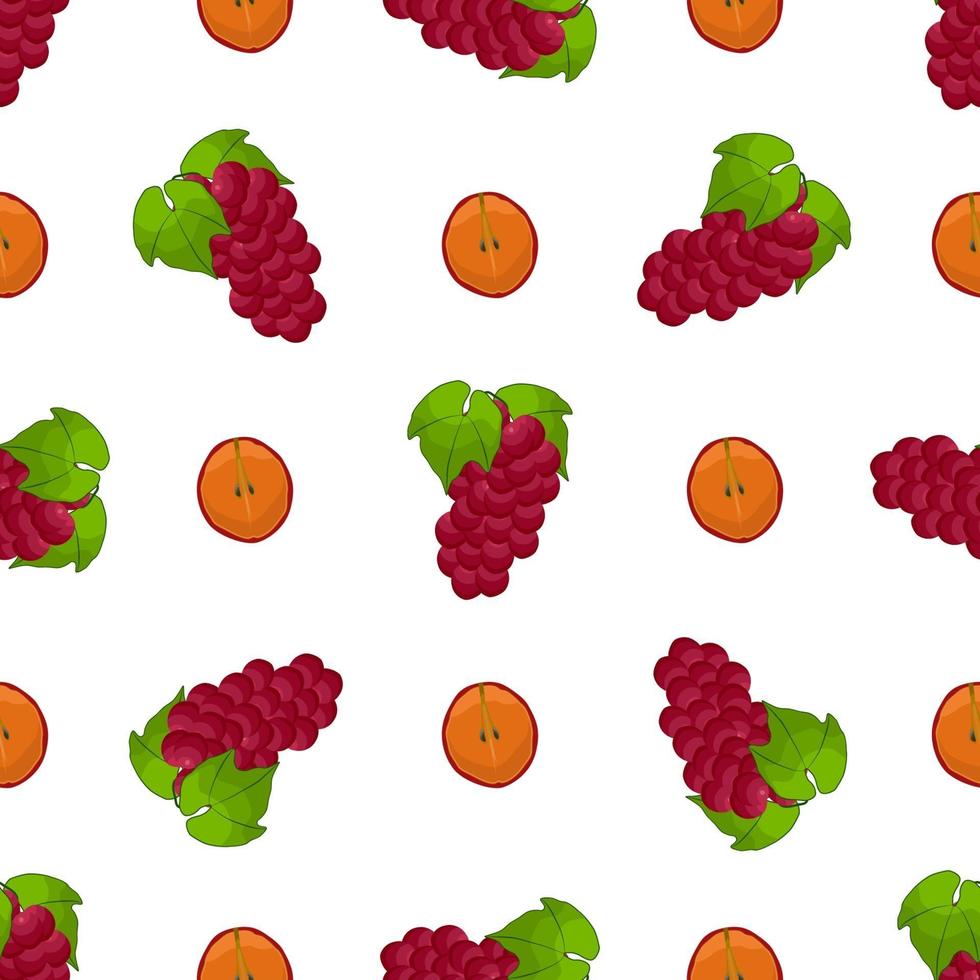 Illustration on theme big colored seamless grape vector