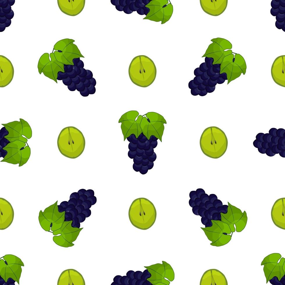 Ilustración sobre el tema de uva transparente de color grande vector