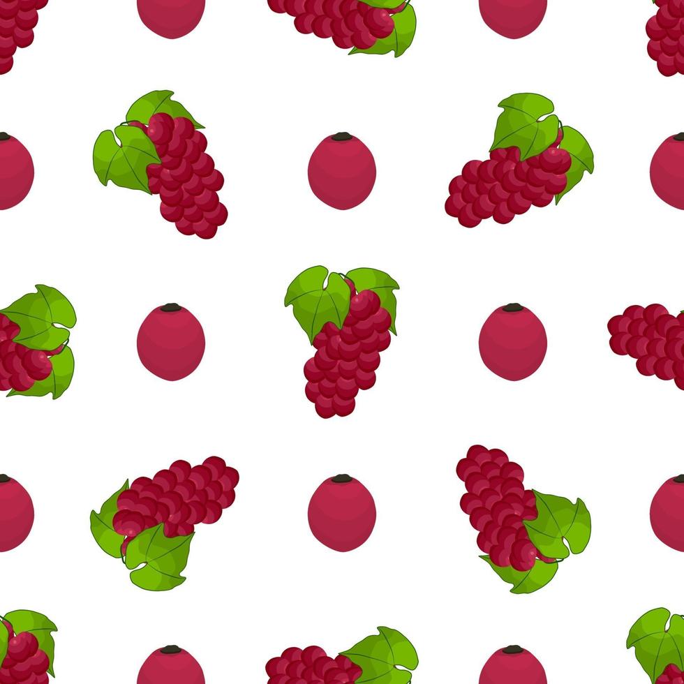 Illustration on theme big colored seamless grape vector
