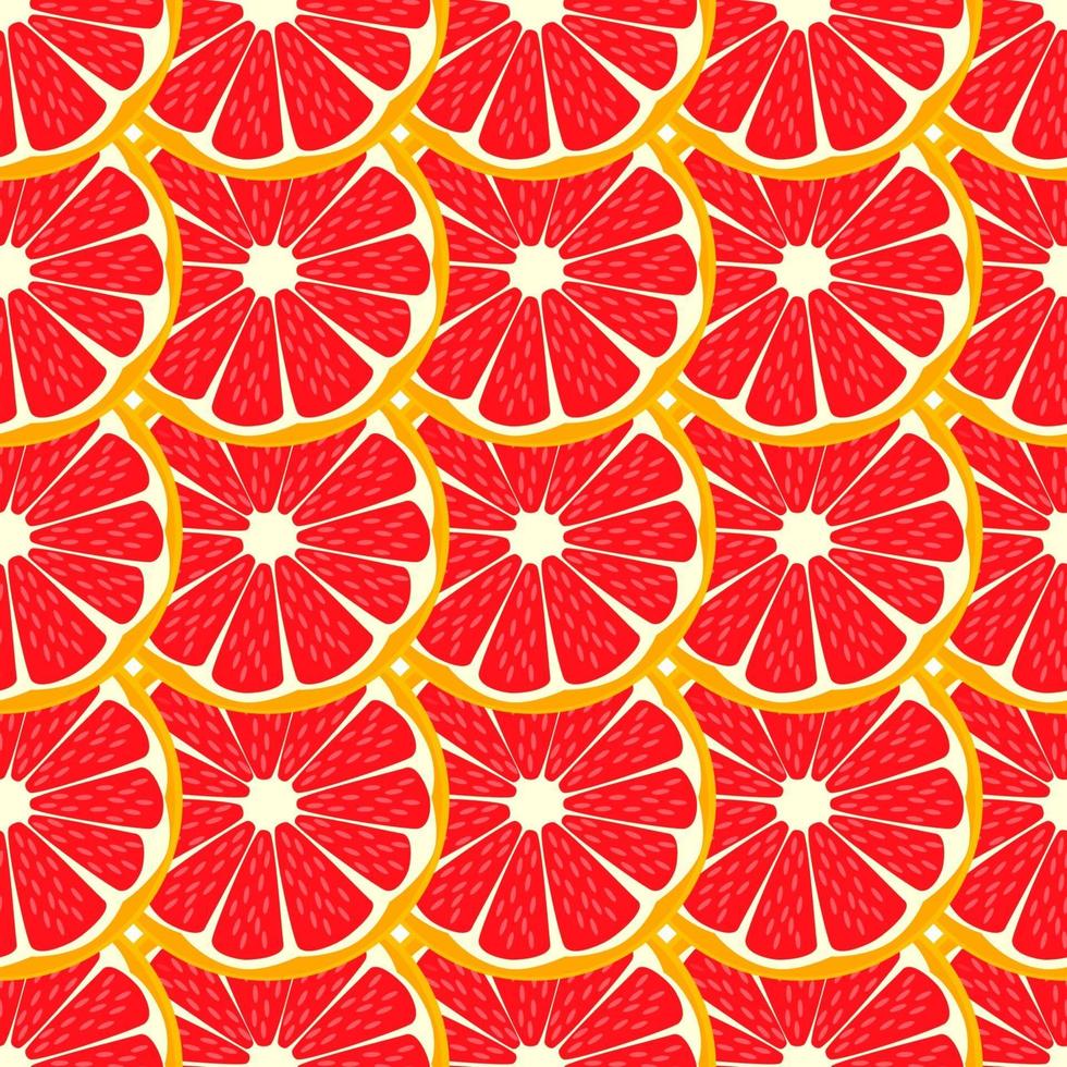Illustration on theme big colored seamless grapefruit vector