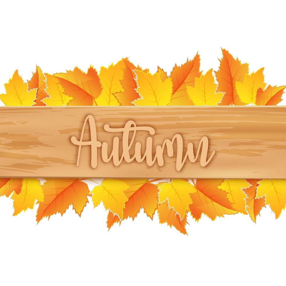 autumn leaves with wooden board on white background vector