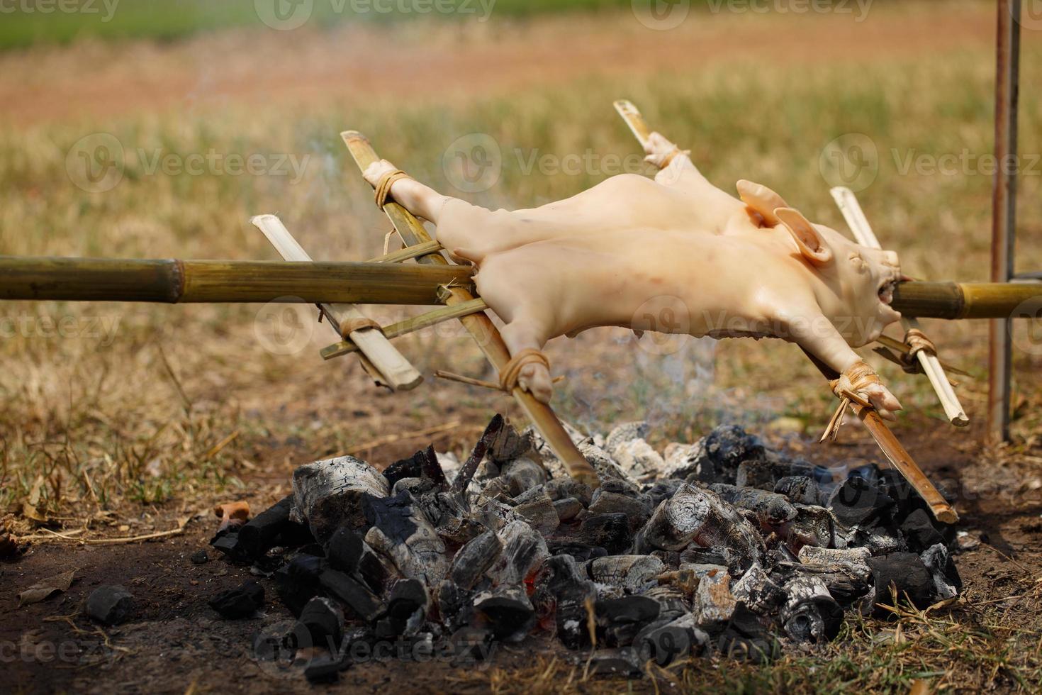 Suckling pig grilling photo