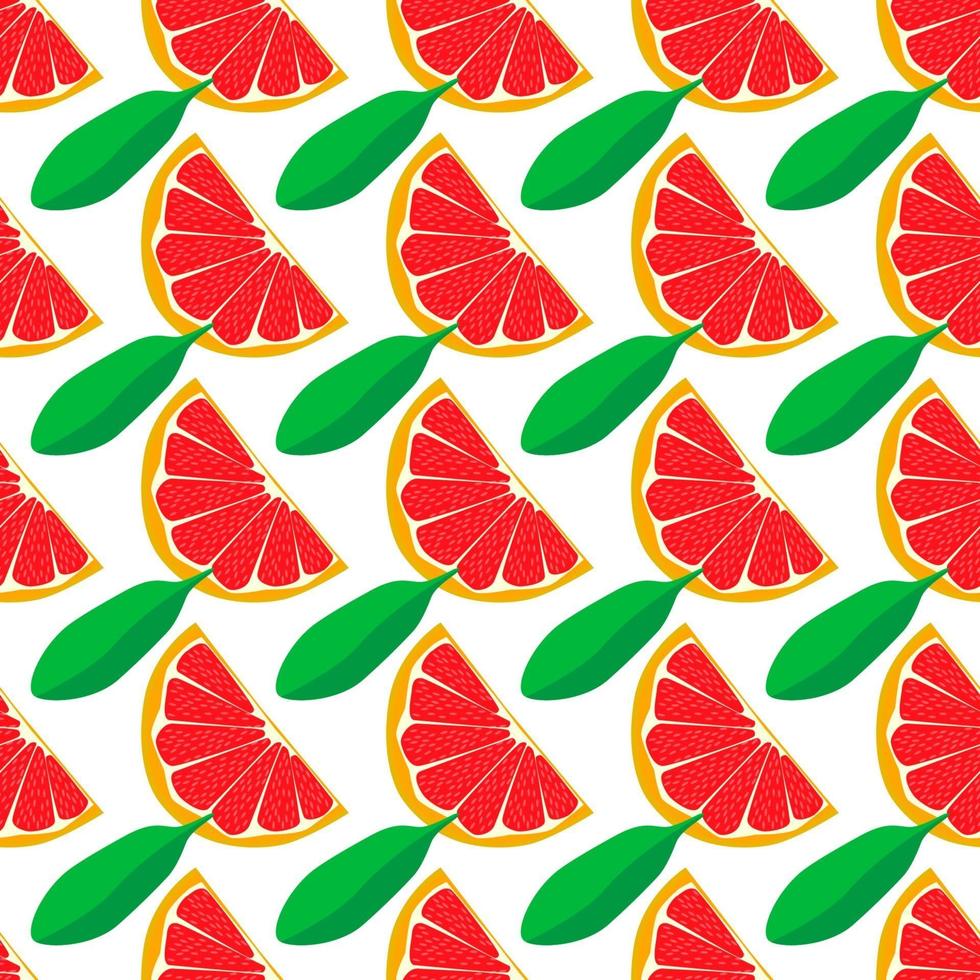 Ilustración sobre tema gran pomelo transparente de color vector