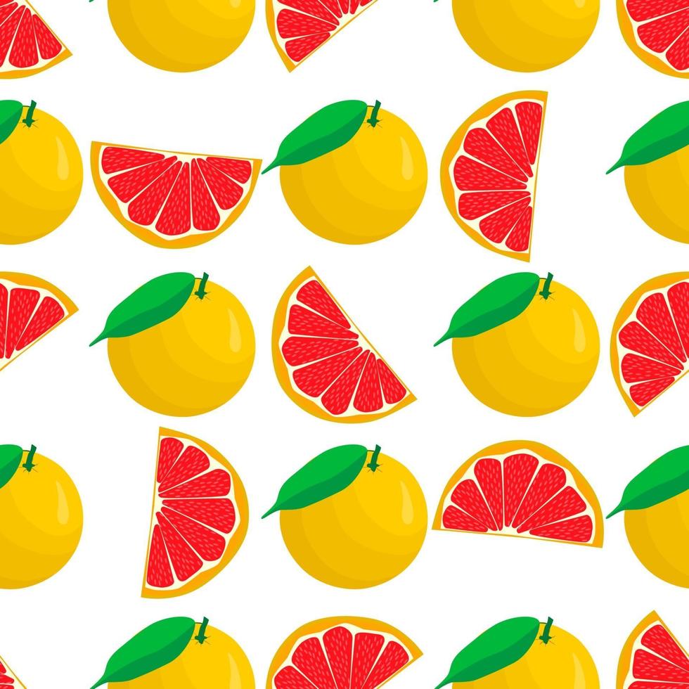 Illustration on theme big colored seamless grapefruit vector