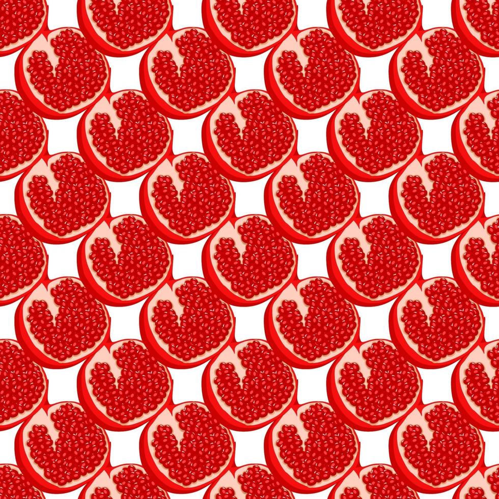 Theme big colored seamless pomegranate vector