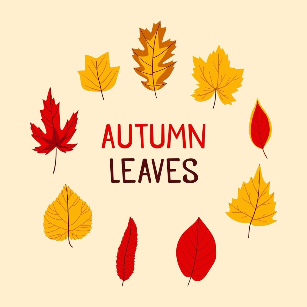 Autumn Leaves Icon Pack vector