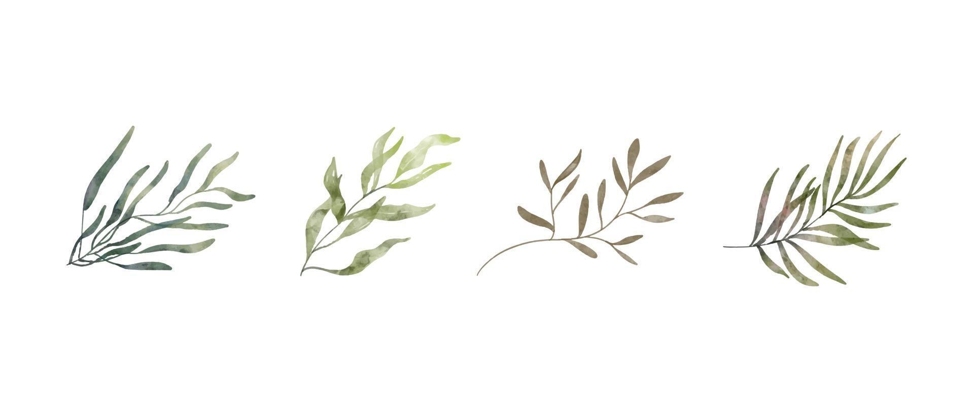 Abstract green branch. Hand drawn watercolor illustration of leaves. vector