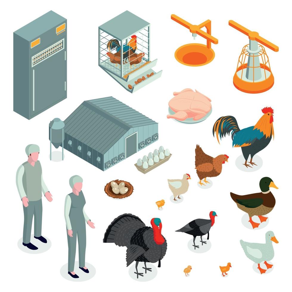 Poultry Farm Isometric Icons Vector Illustration