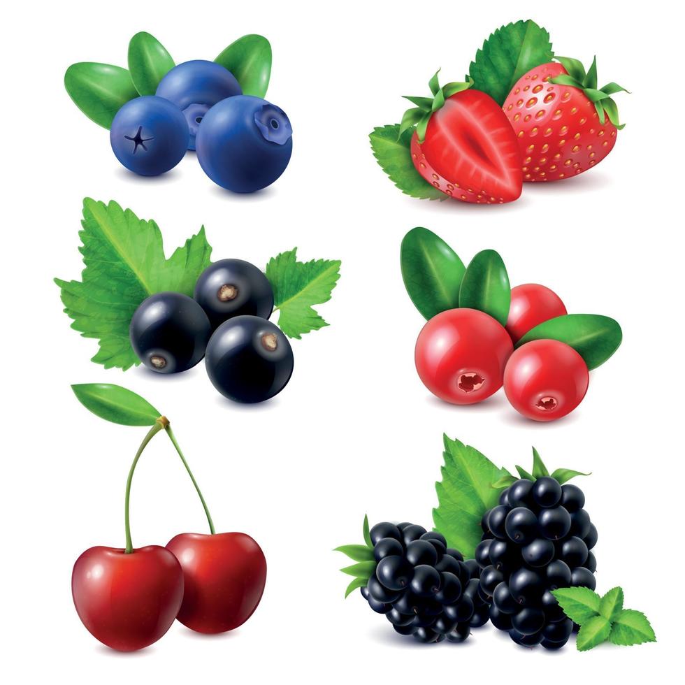 Berries Realistic Set Vector Illustration