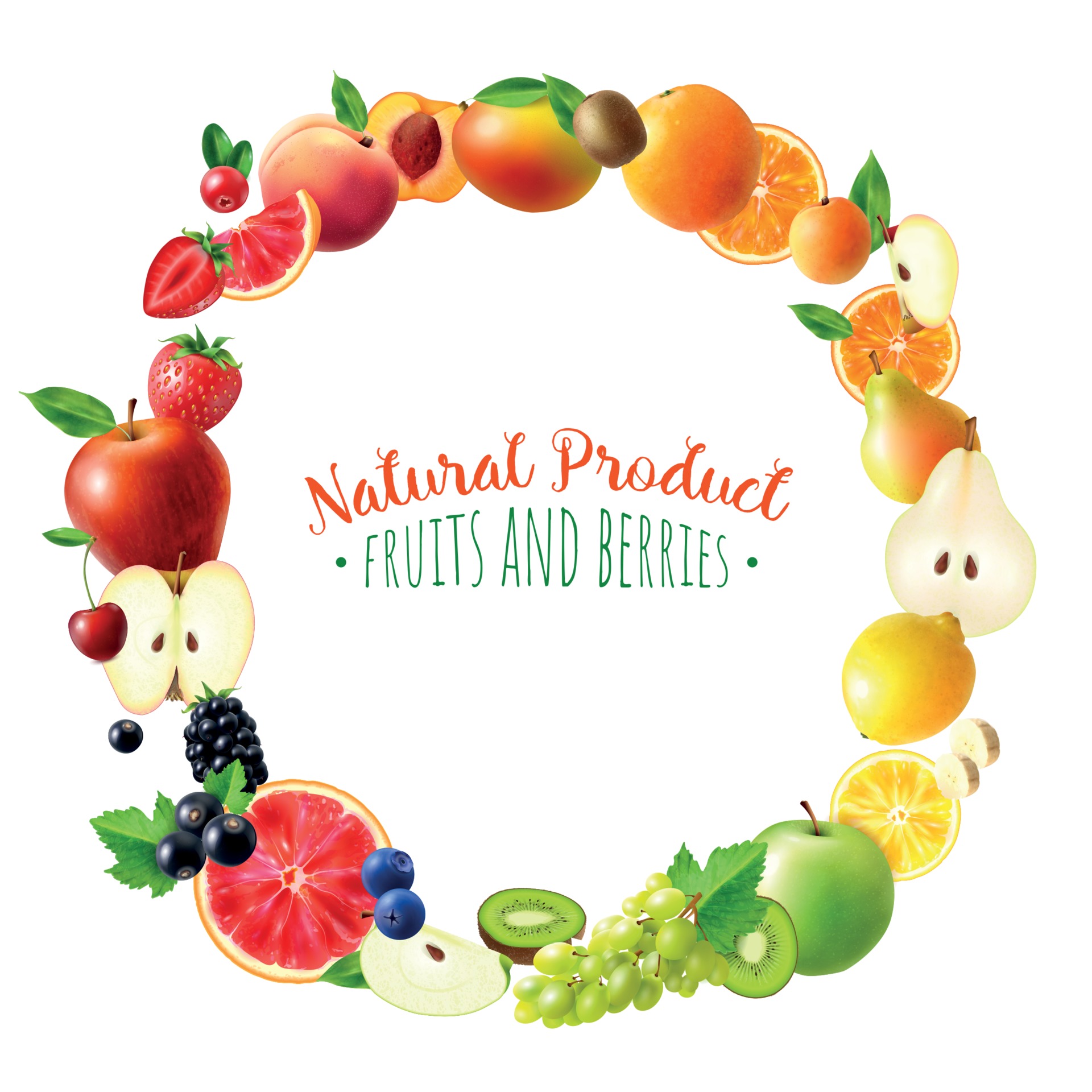 Realistic Fruits Frame Vector Illustration Vector Art At Vecteezy
