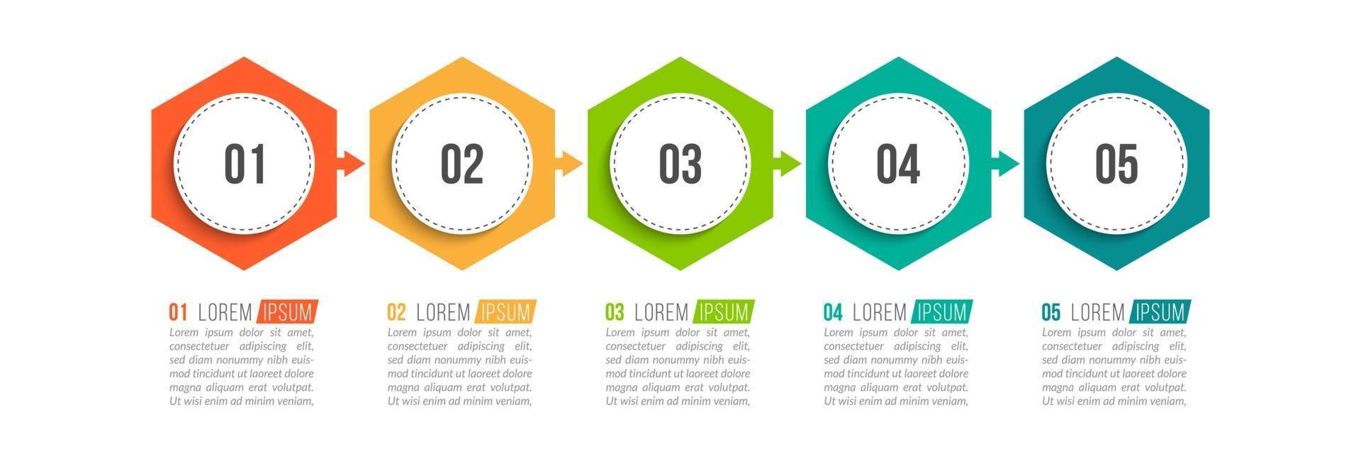 Five Options Infographic Template vector