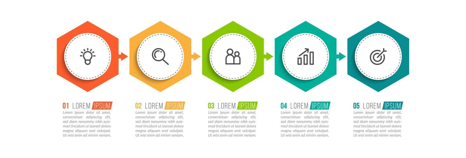 Five Options Infographic Template vector