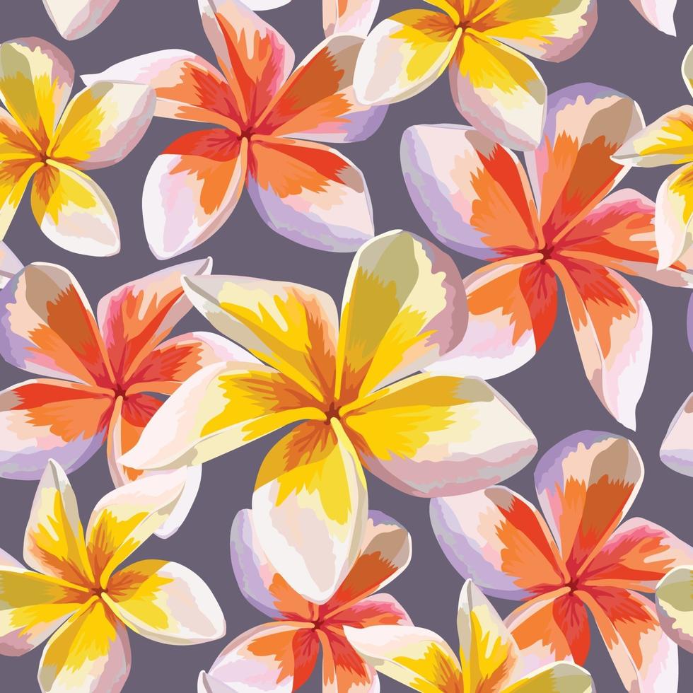 Seamless pattern pink Frangipani flowers abstract background. vector