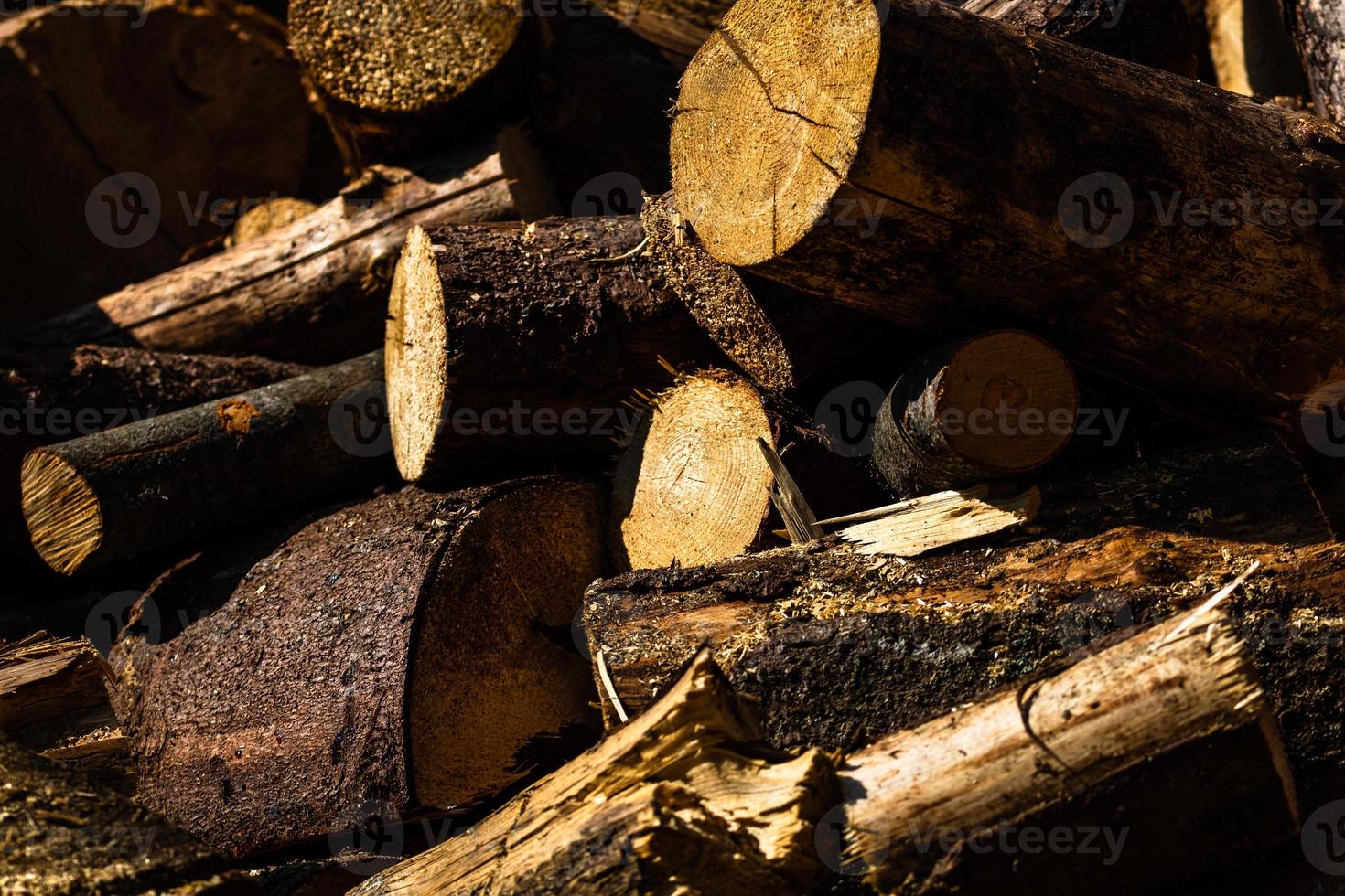 Cut and stacked dry woods. Pile of sawing woods. photo