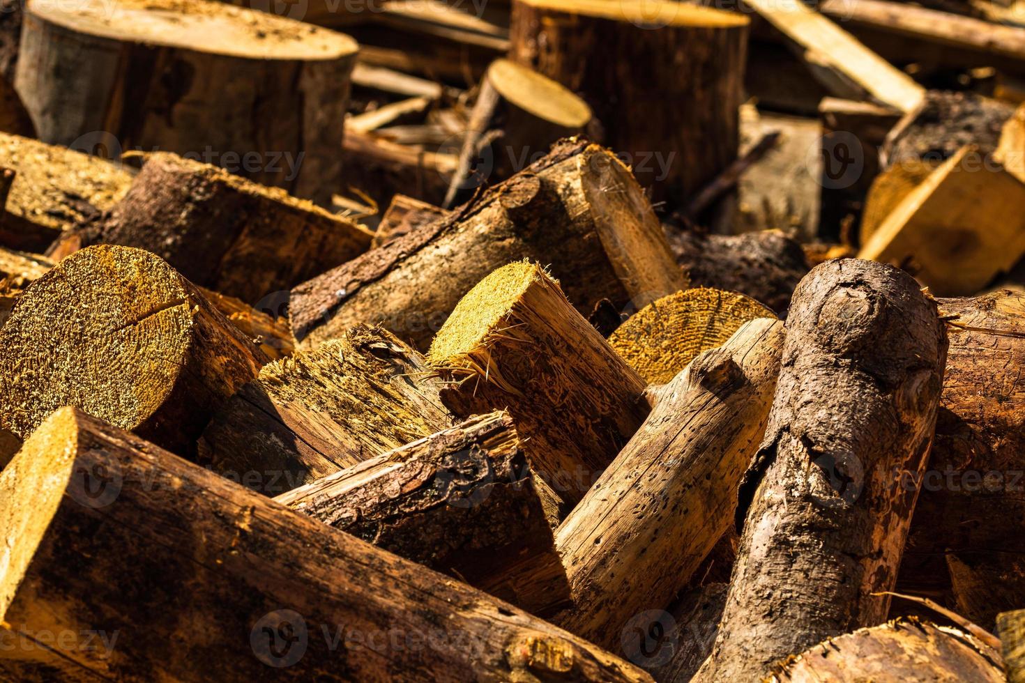 Cut and stacked dry woods. Pile of sawing woods. photo