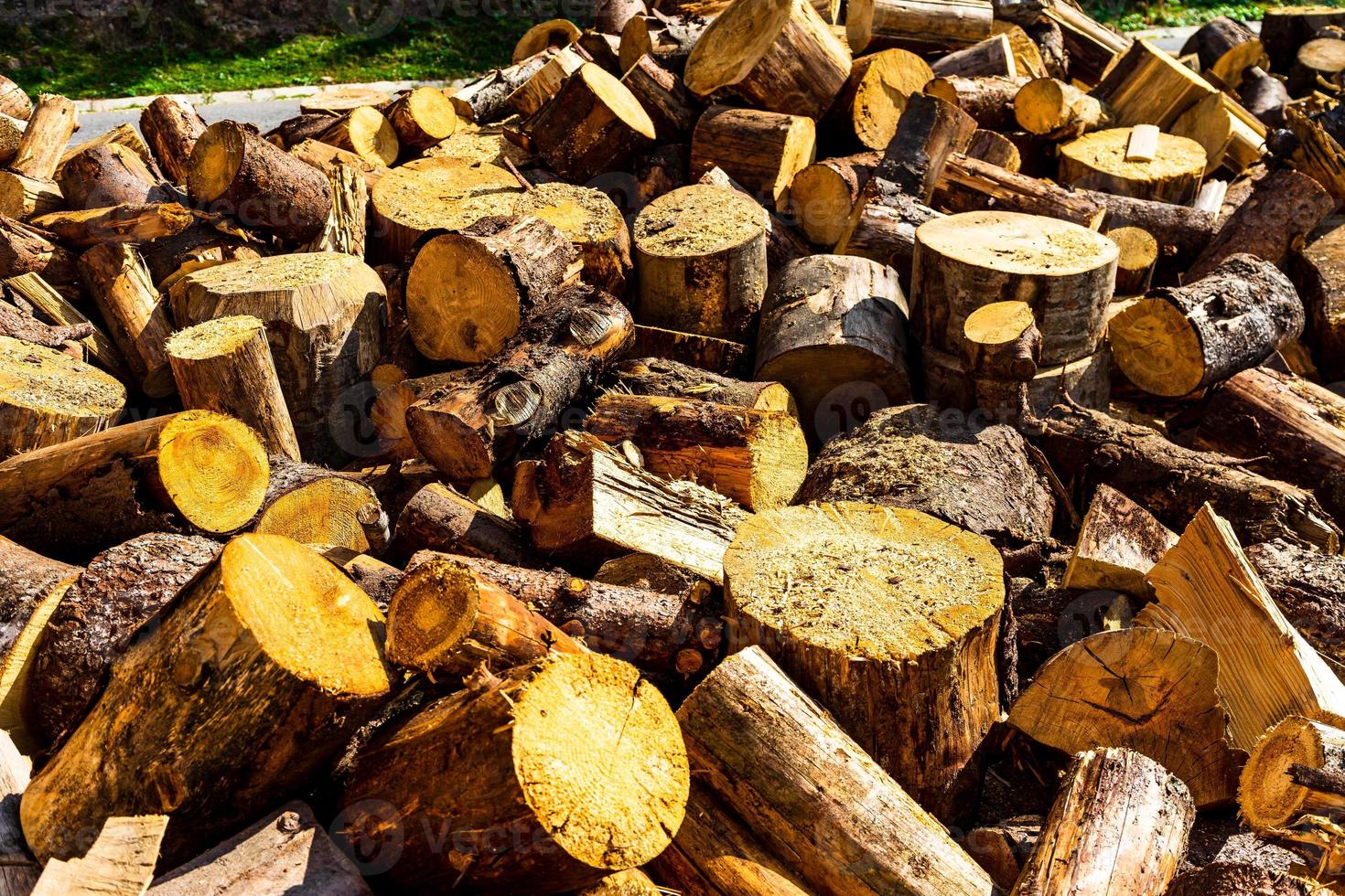 Cut and stacked dry woods. Pile of sawing woods. photo