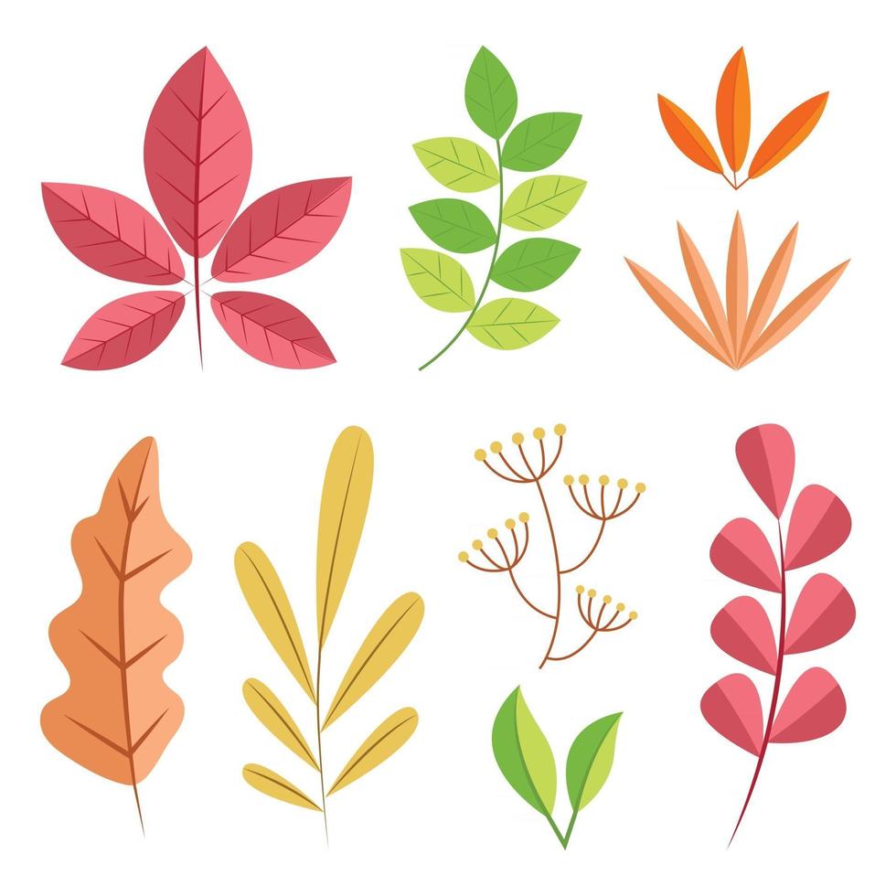 conjunto de iconos de hojas de otoño vector