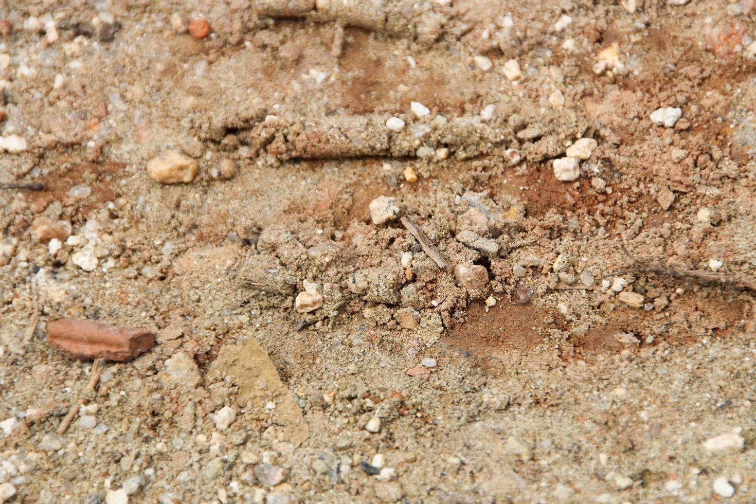 Textura de arena con piedras para el fondo foto