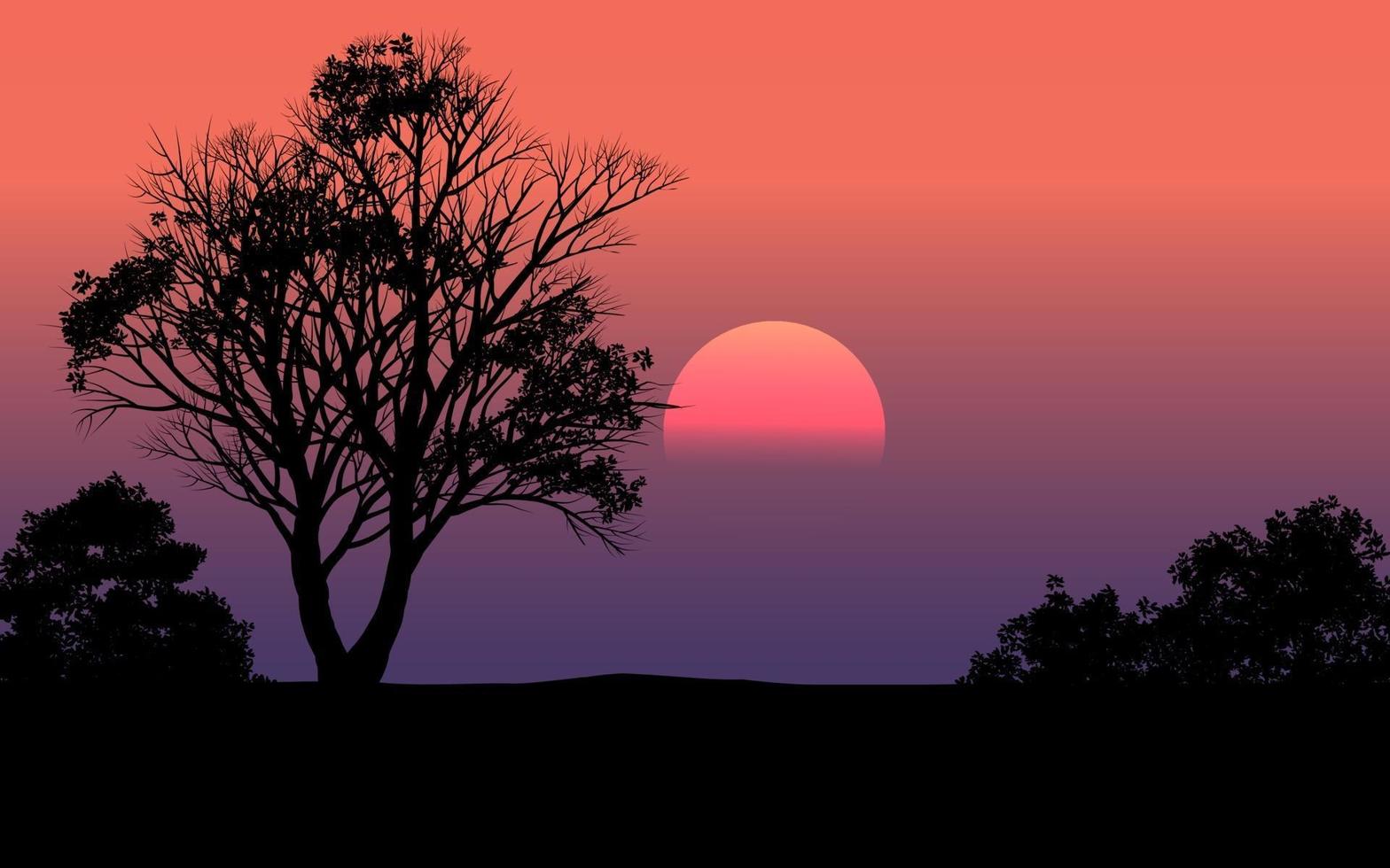 Beautiful Silhouette Sunset Scene In Forest vector