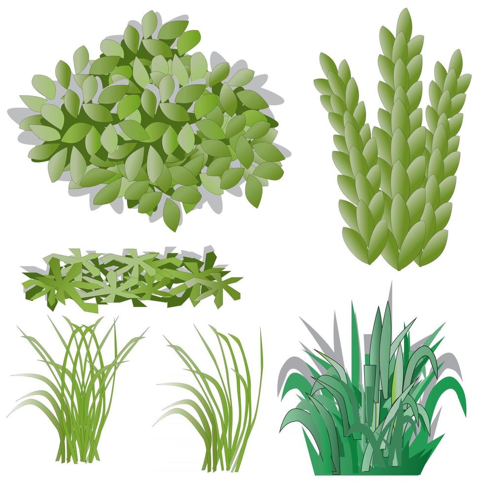 ilustración de hierba y arbustos vector