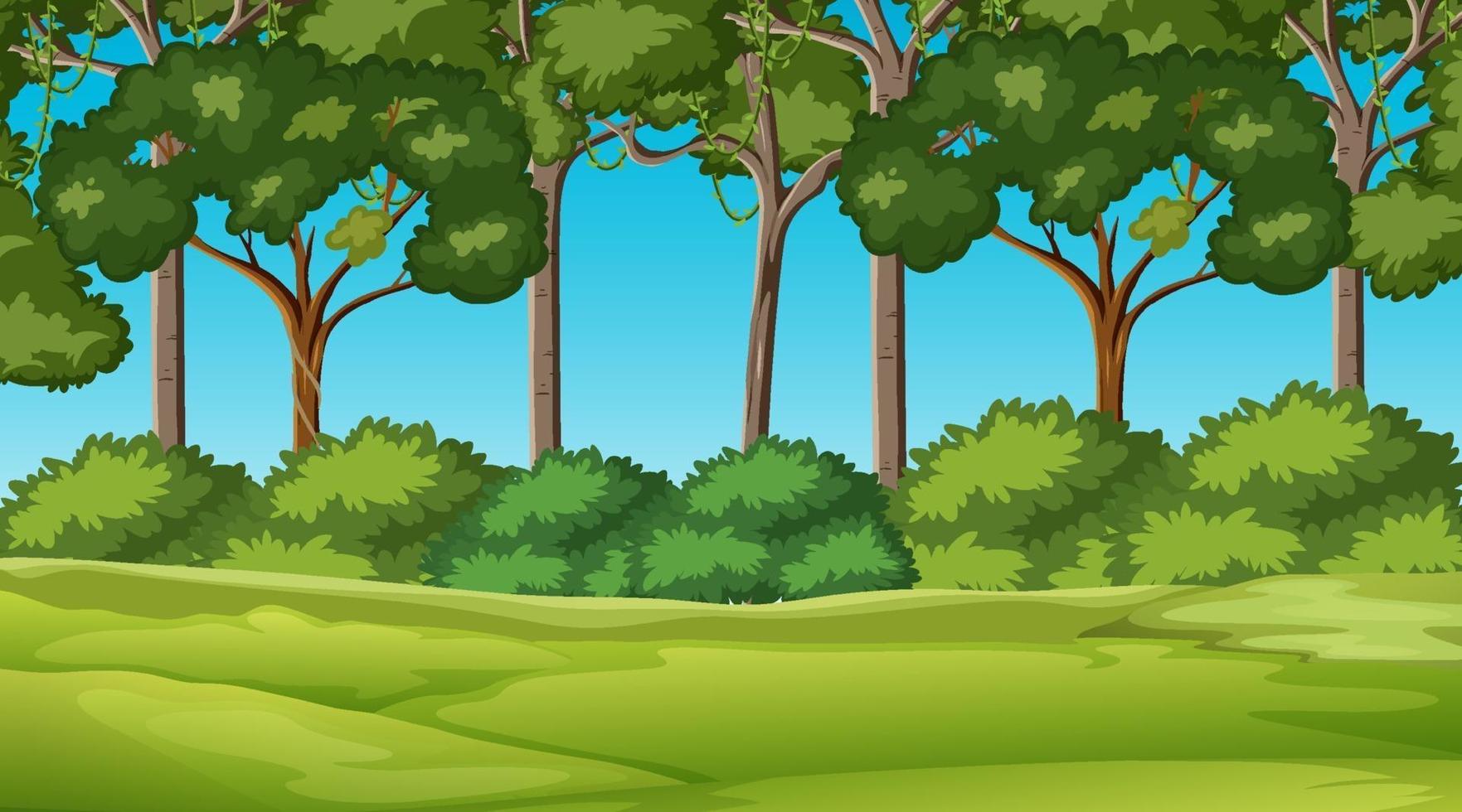 Blank nature park landscape at daytime scene with many tree background vector