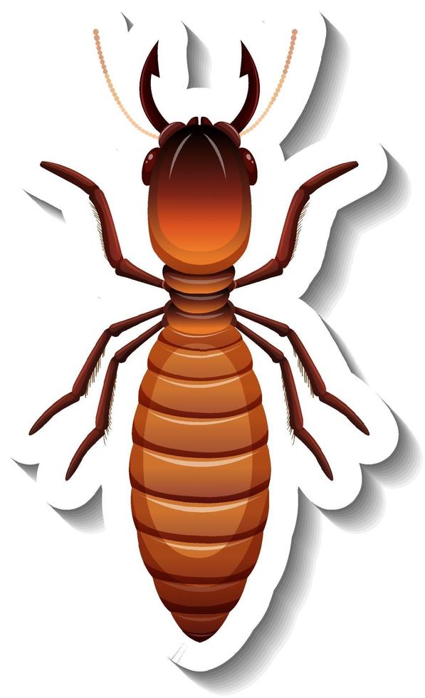 A sticker template with top view of primary king termite isolated vector