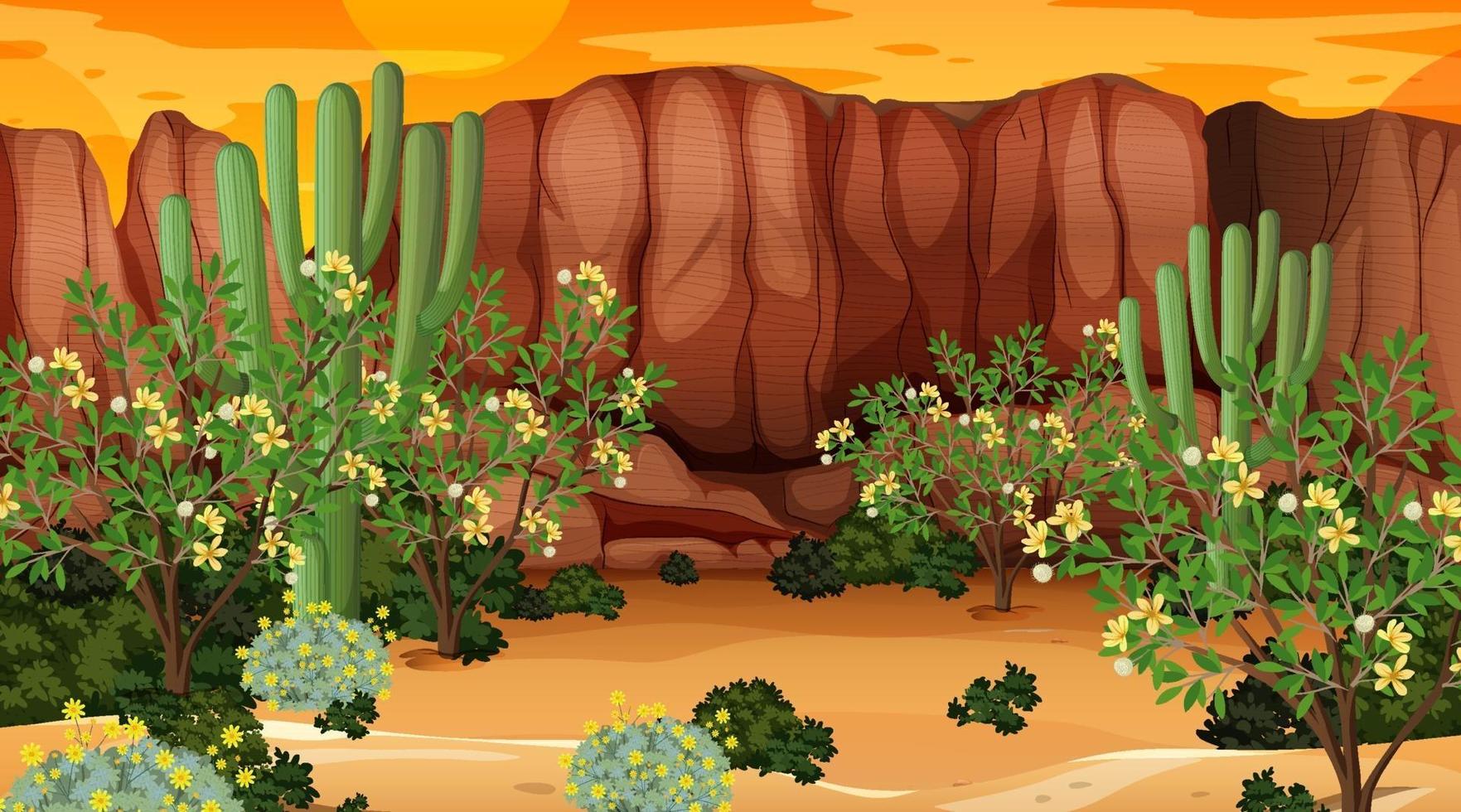 Desert forest landscape at sunset time scene with many cactuses vector