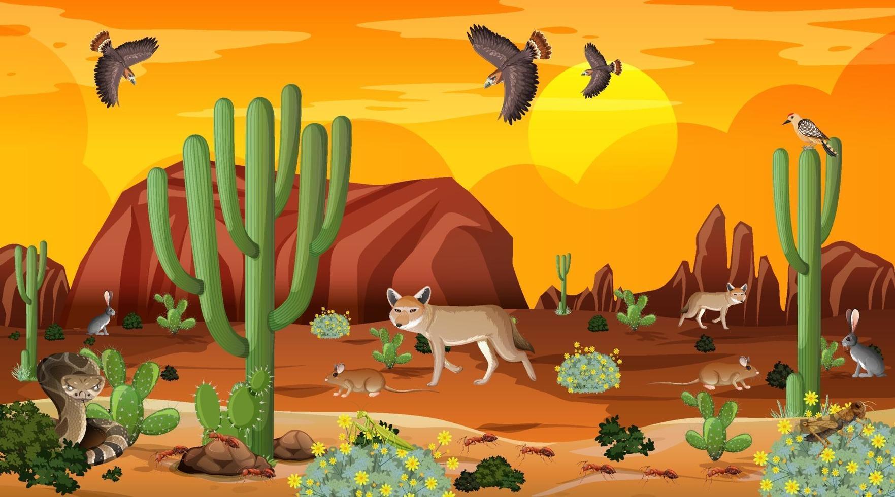 Terrestrial Habitat Desert