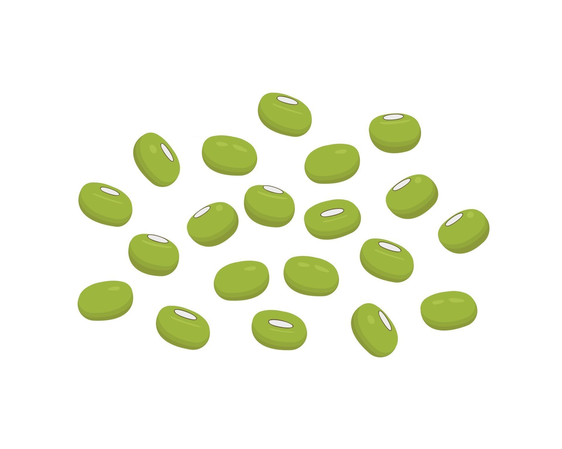 Pile of mung beans, green gram or maash 3022819 Vector Art at Vecteezy