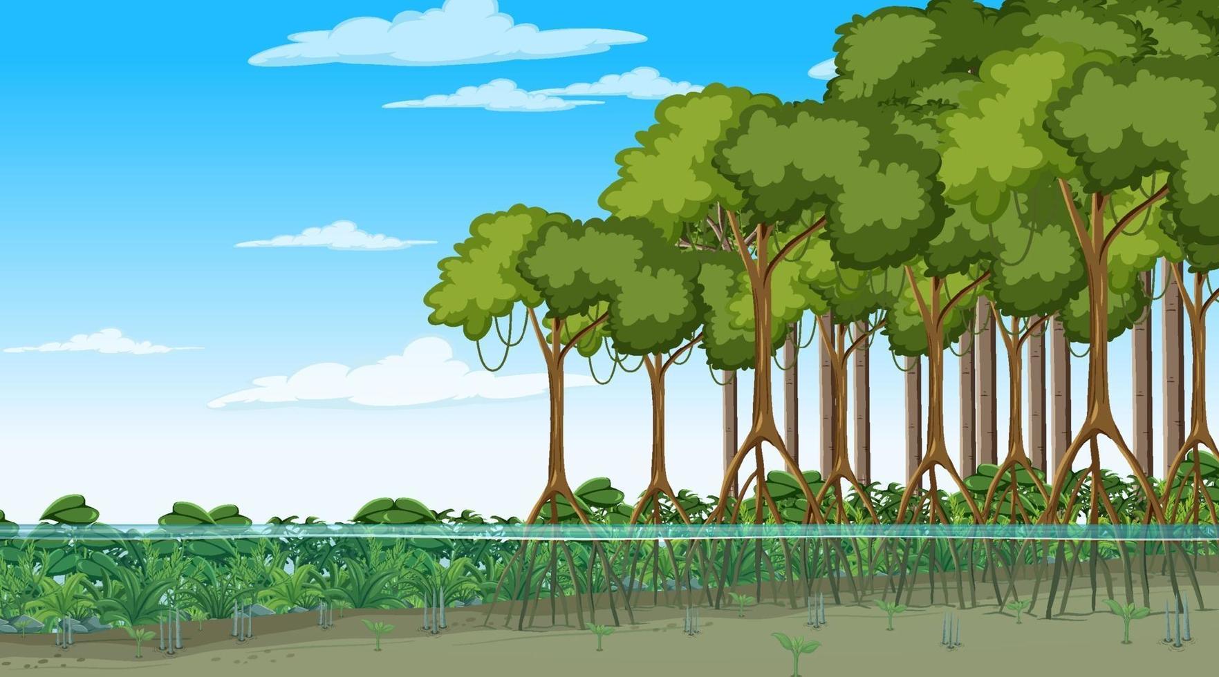 Nature scene with mangrove forest in cartoon style vector
